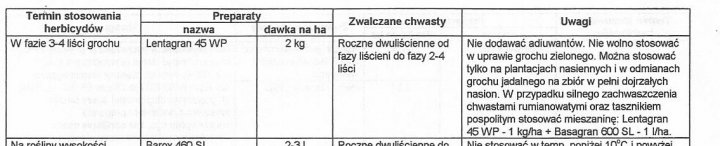 lentagran w grochu.JPG