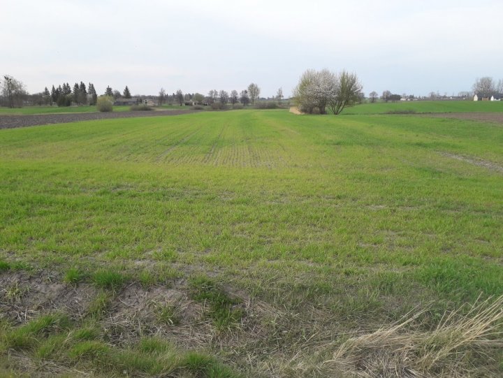 20200424_174919 (1).jpg