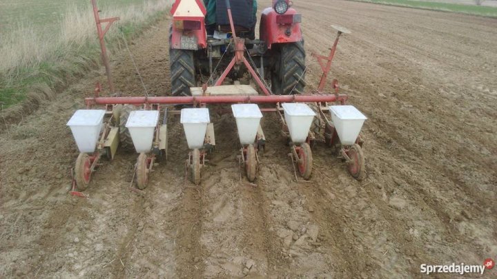 siewnik-do-burakow-gama-5-rosliny-okopowe-lubelskie-zamosc-511381738.jpg