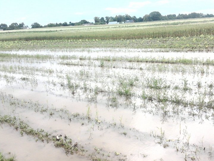 2013-06-26 09.43.52.jpg