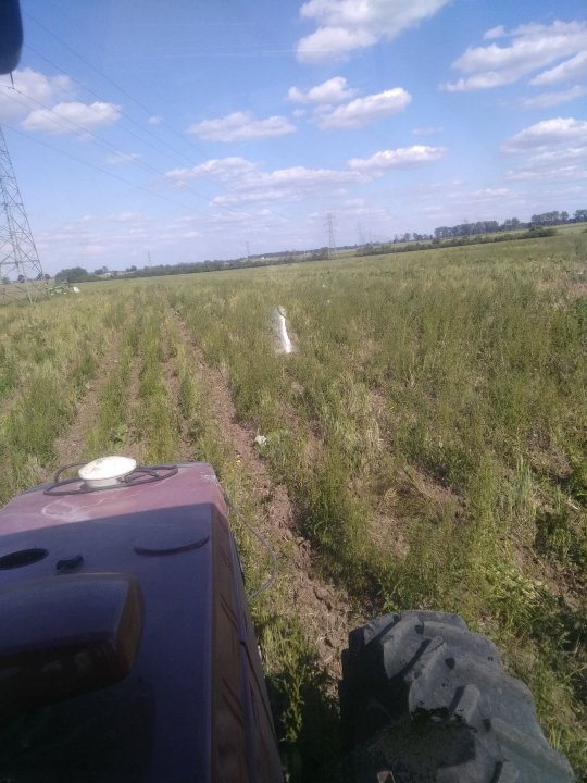 IMG_20200603_163511 (2).jpg