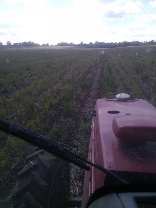 IMG_20200603_155058 (2).jpg