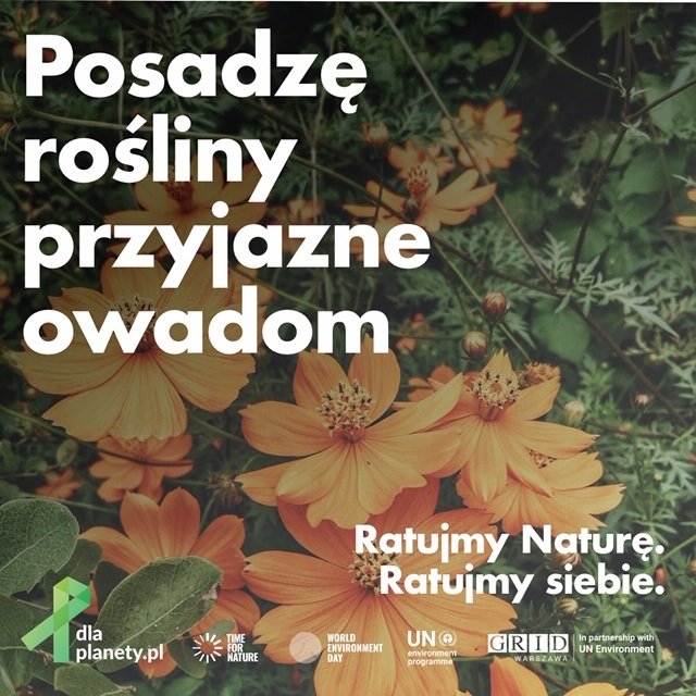 Postanowienia_1 (1200x1200).jpg