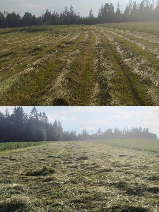 IMG_20200626_192735 (1).jpg