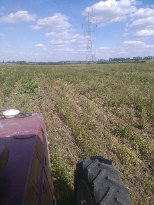 IMG_20200603_155943 (1).jpg