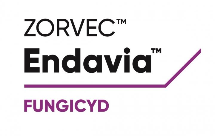 Zorvec Endavia_LOGO.jpg