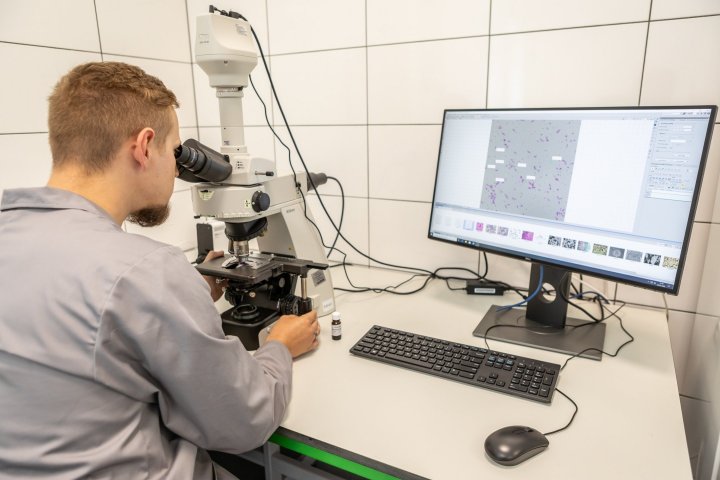 Intermag - zdj. 6.jpg