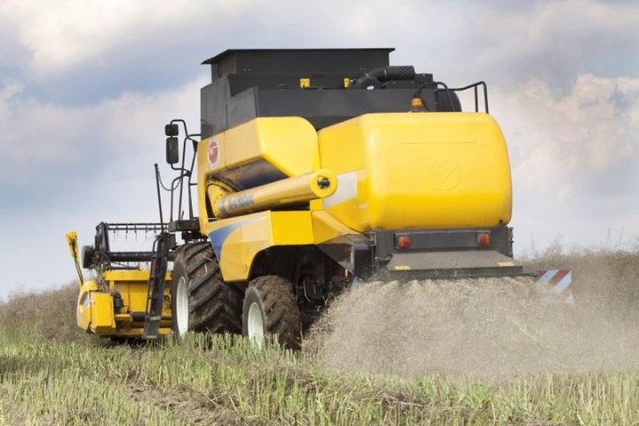 ściernisko foto.jpg