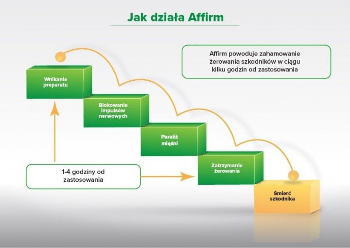 jak_dziala_affirm.jpg