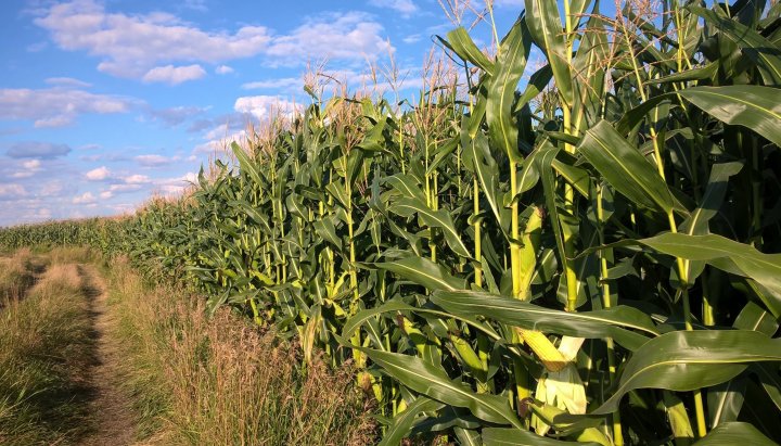 WP_20200825_17_11_29_Pro (2).jpg