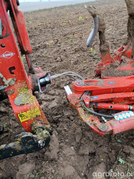 kuhn_l_eca2eca50487fe4df52a04e76baacc26 (1).jpg