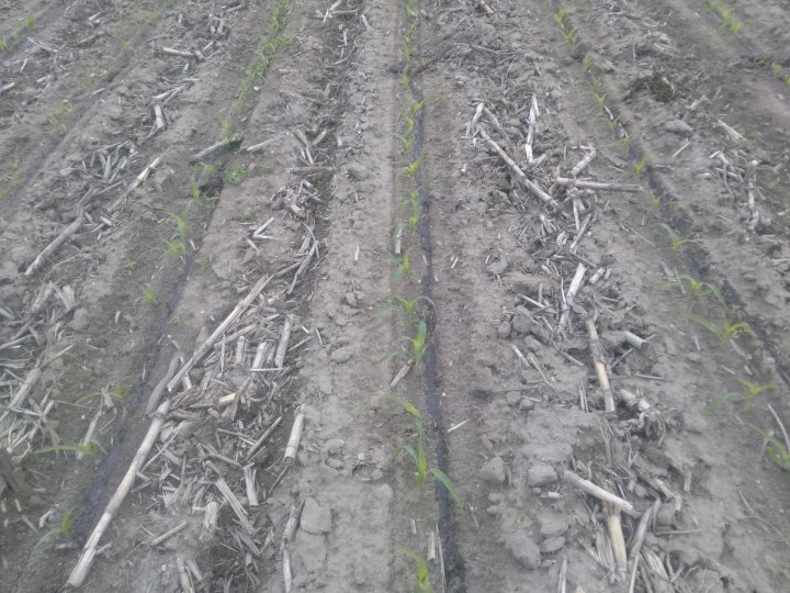 IMG_20200528_143438 (2).jpg