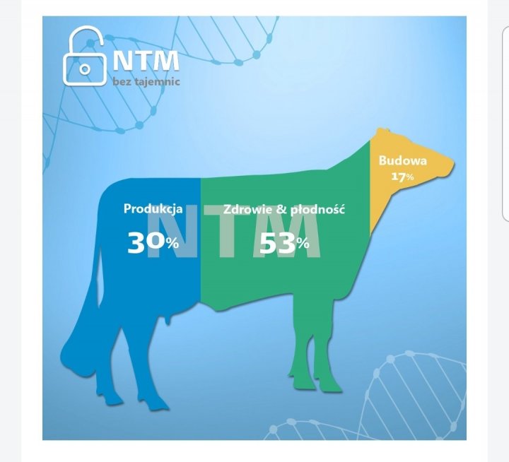 Screenshot_20201210-175126_Samsung Internet.jpg