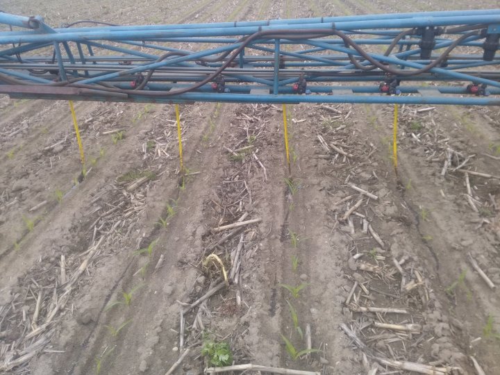 IMG_20200528_143428 (3).jpg