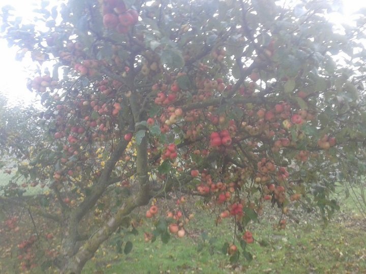 2020-11-10 10.01.17.jpg