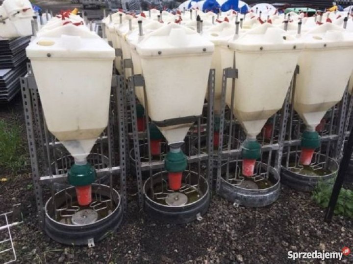 tubomaty-automaty-paszowe-trzody-karmniki-ladne-rosciszewo-484629676.jpg