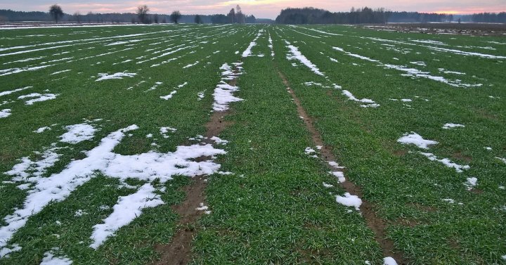 WP_20210123_15_35_44_Pro (2).jpg