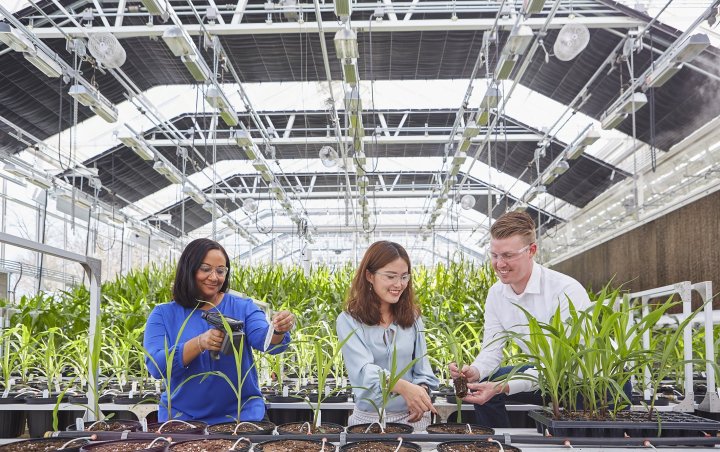 Bayer_ilustracja (1).jpg