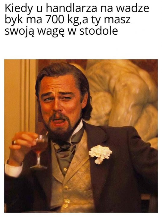 Leonardo DiCaprio Laughing 07022021215706.jpg