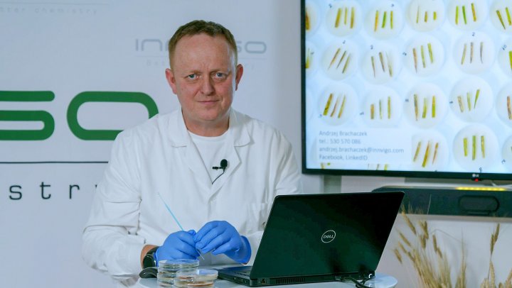 andrzej brachaczek_1.72.1.jpg