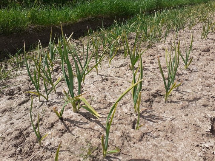 WhatsApp Image 2021-05-20 at 21.59.25 (1).jpeg