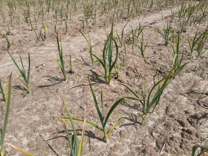 WhatsApp Image 2021-05-20 at 21.59.25.jpeg