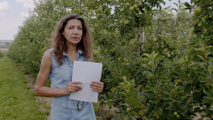 Iwona Szot_1.1.1.jpg