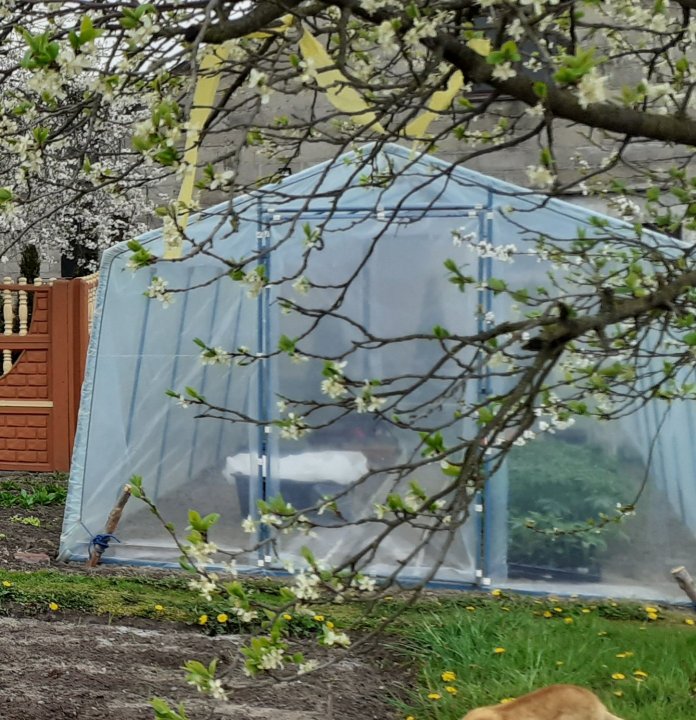 20200501_123628 (2).jpg