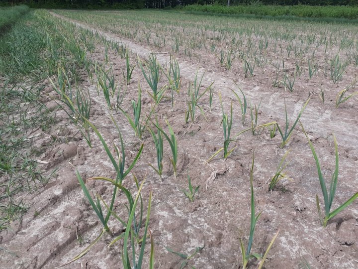 WhatsApp Image 2021-05-20 at 21.59.25 (2).jpeg