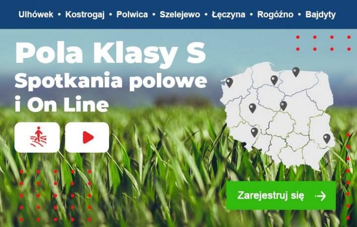 pola_klasy_s_grafika.jpg