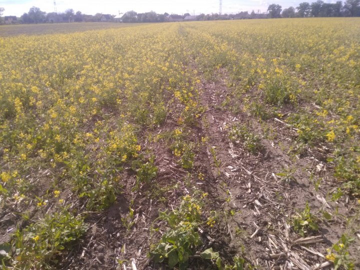 IMG_20210527_163220 (2).jpg