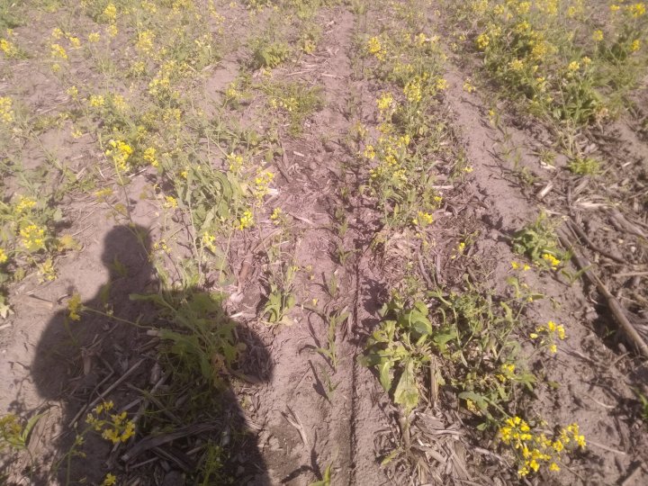 IMG_20210527_163209 (1).jpg