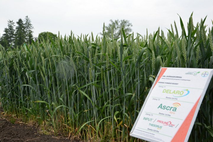 Konferencja Polowa Bayer 2021 (8).JPG