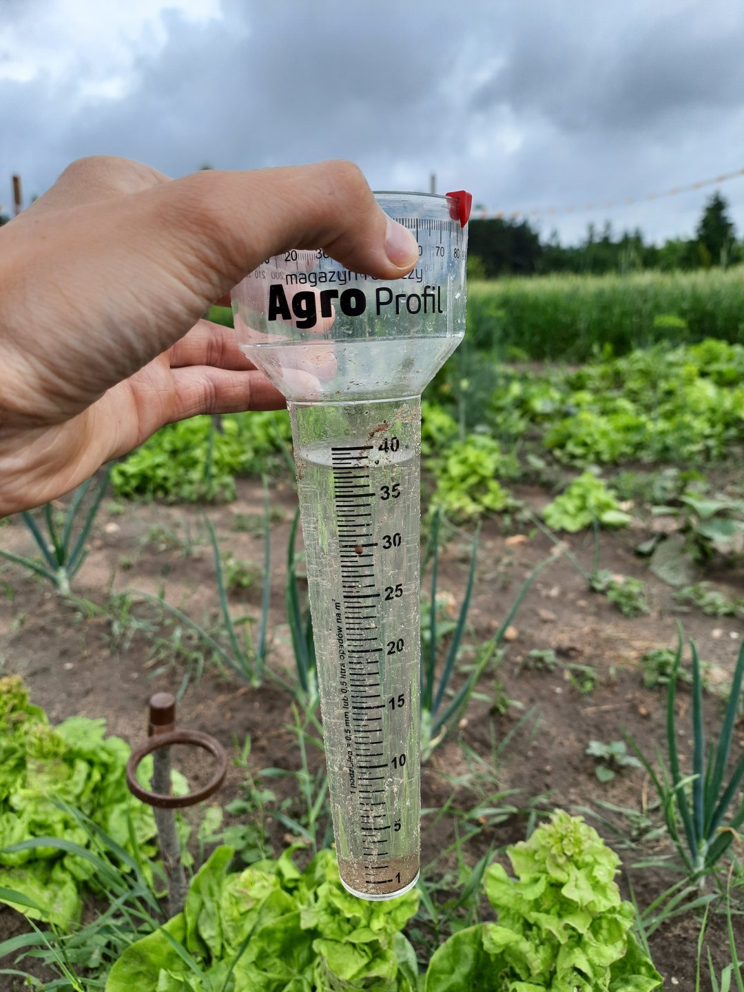 Opad Obrazek, fotka, zdjecie, photo 802602 Galeria rolnicza agrofoto