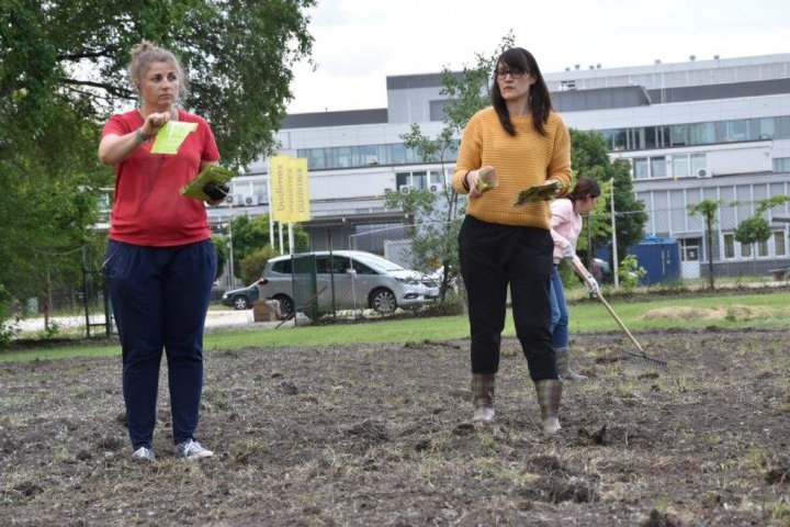 Kwietna łąka_fot. Siemens (2).jpg