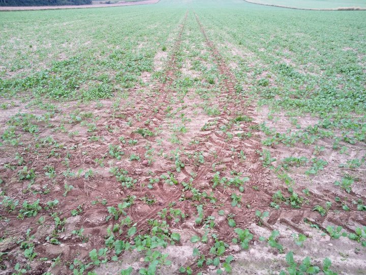 stan 16,09,2021 (3).jpg