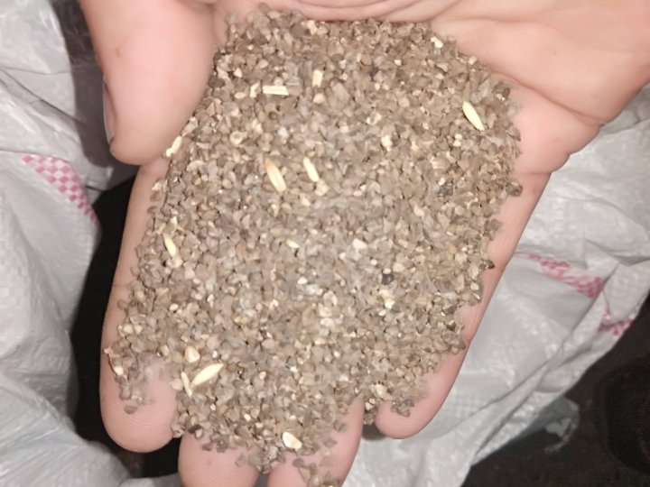 Zmijowiec nasiona plewy 2 ....jpg