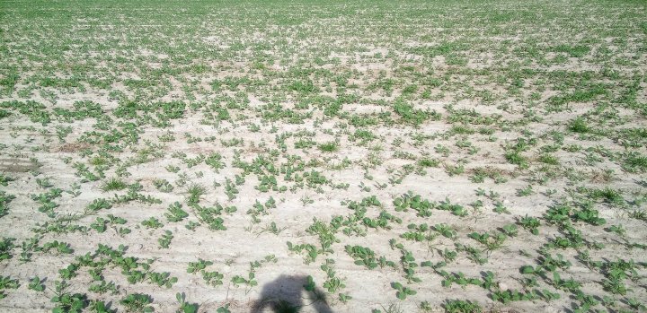 stan 12,09,2021 (2).jpg