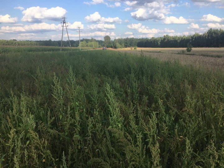 (1) W dniu zabiegu.jpg