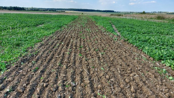 20210908_152116 (1).jpg