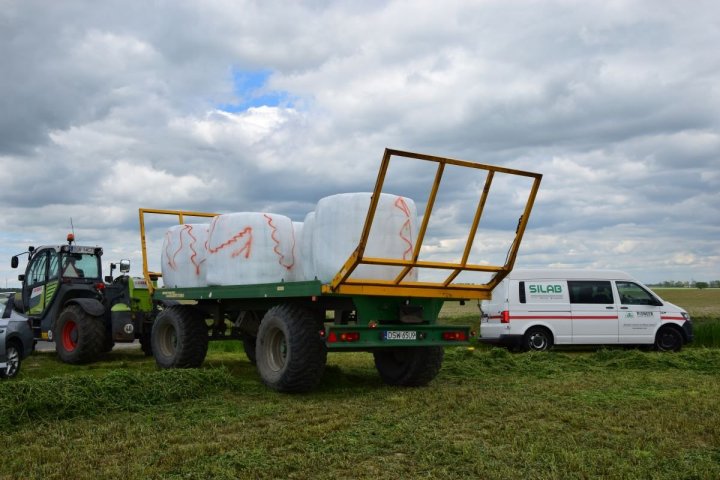 Idealna Bela - baloty próby pomarańczowej.JPG