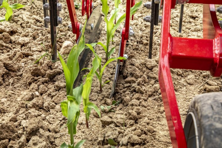 Transformer 9 VF Product Image-5.jpg