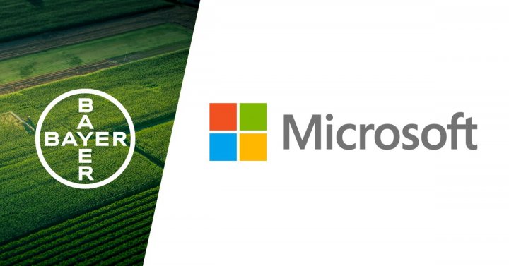 Bayer Microsoft_grafika.jpg
