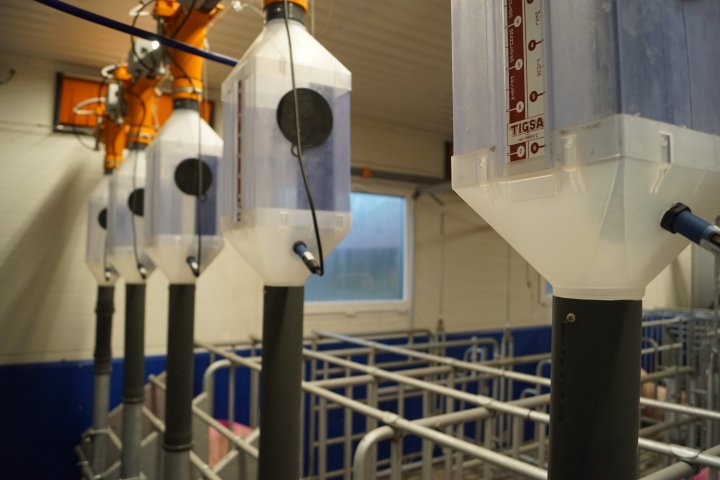 Automatyczne zadawanie paszy.JPG