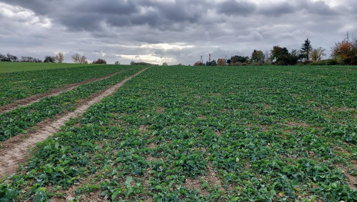 20211023_113753 (1).jpg