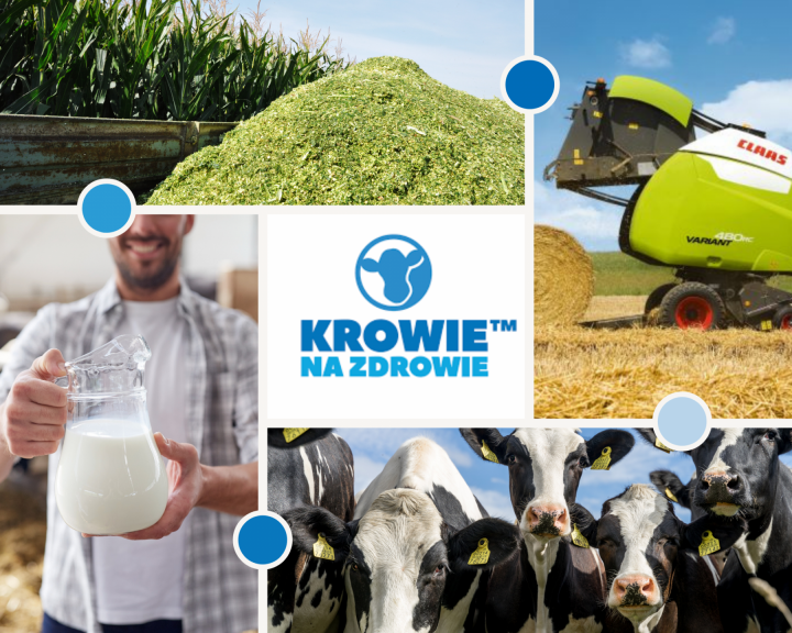 Krowie-na-zdrowie (1).png