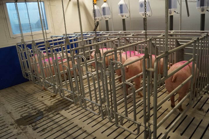 Lochy CG36 w sektorze krycia.JPG