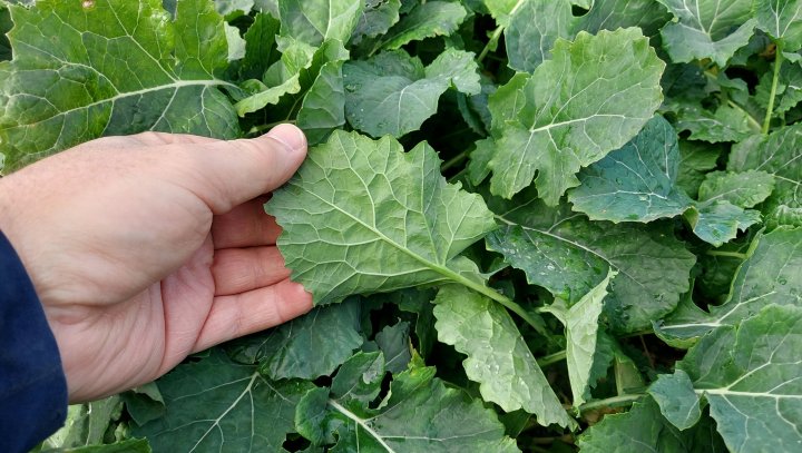 20211023_111654 (1).jpg