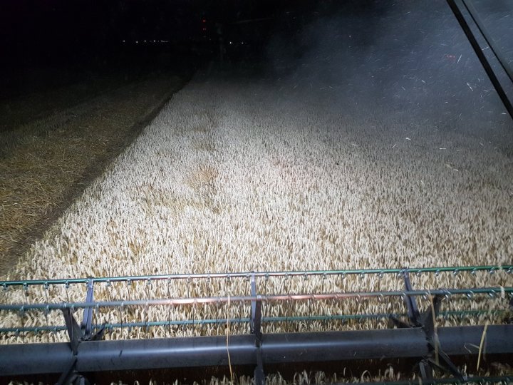 20190811_214938 (1).jpg