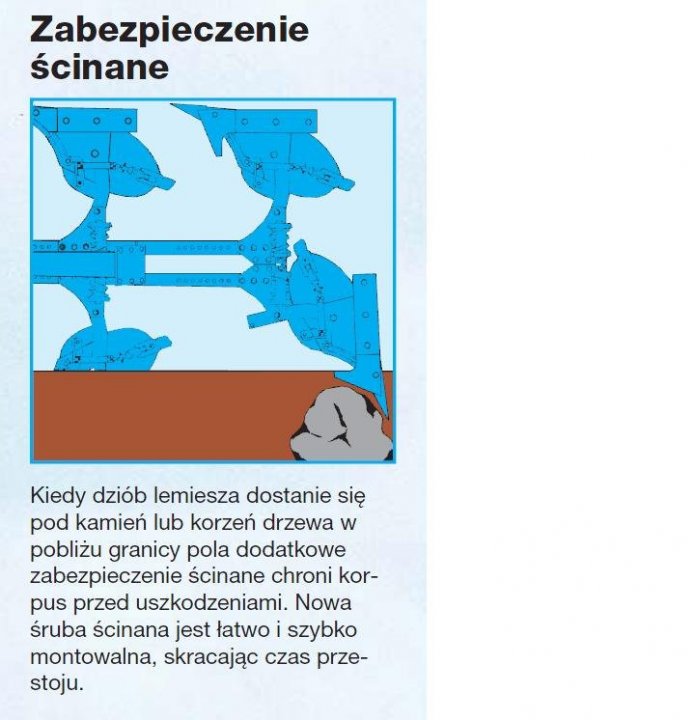 kołek.JPG